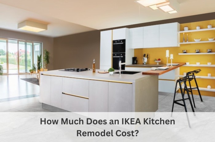 IKEA Kitchen Remodel Cost-A kitchen cost-kitchen design-Ikea kitchen design-remodel a Kitchen